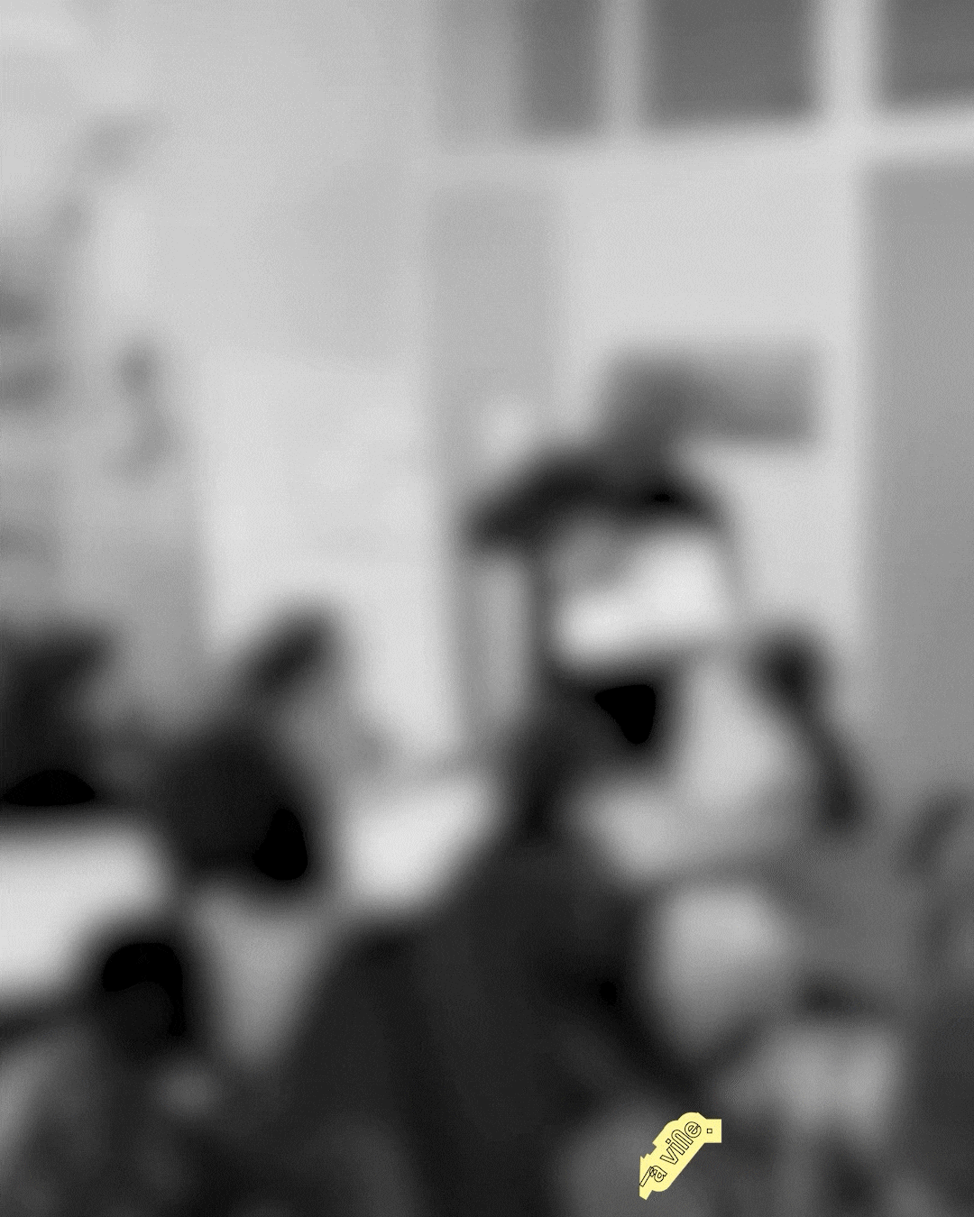 Image du projet